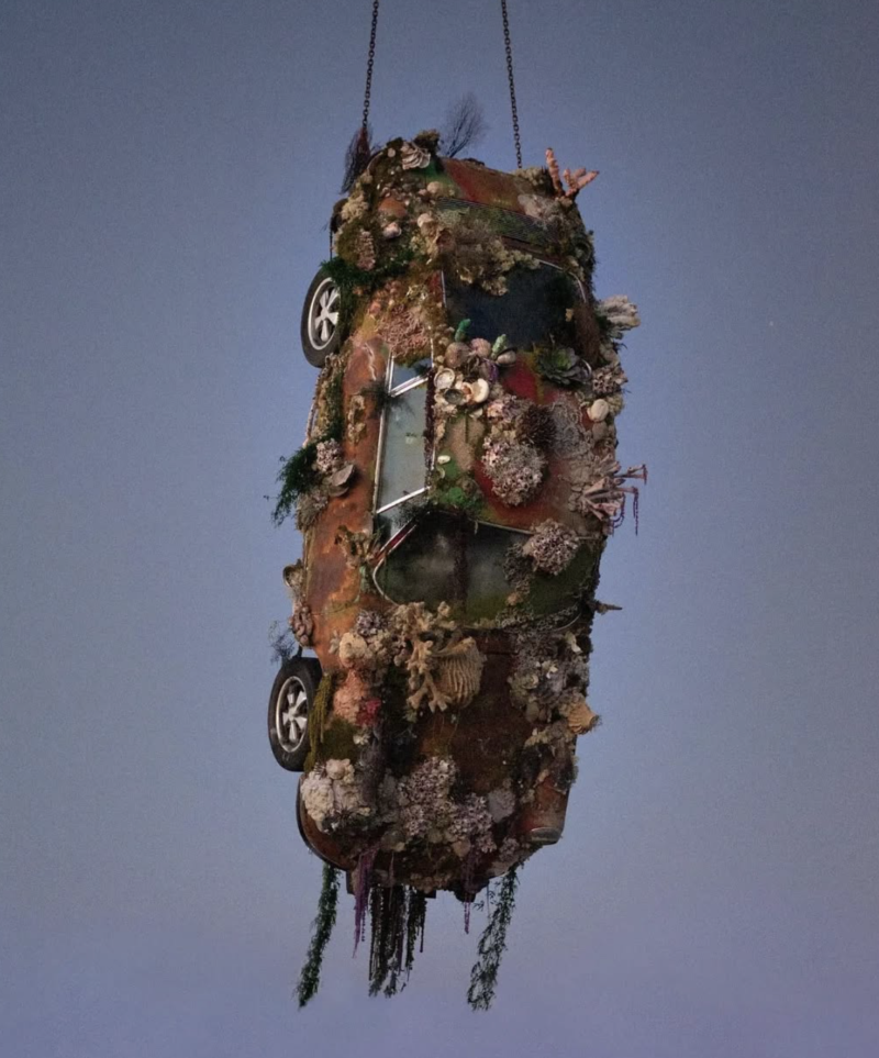 SUNKEN ROMANCE installation